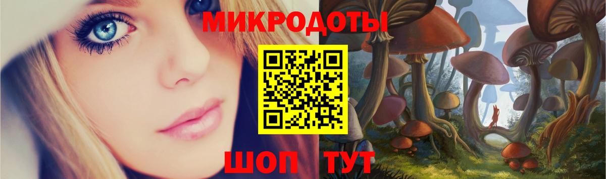 Галлюциногенные грибы прущие грибы  Галлюциногенные грибы мицелий  как найти   Вход с VPN  Сухой Лог 
